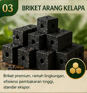 Briket Kelapa