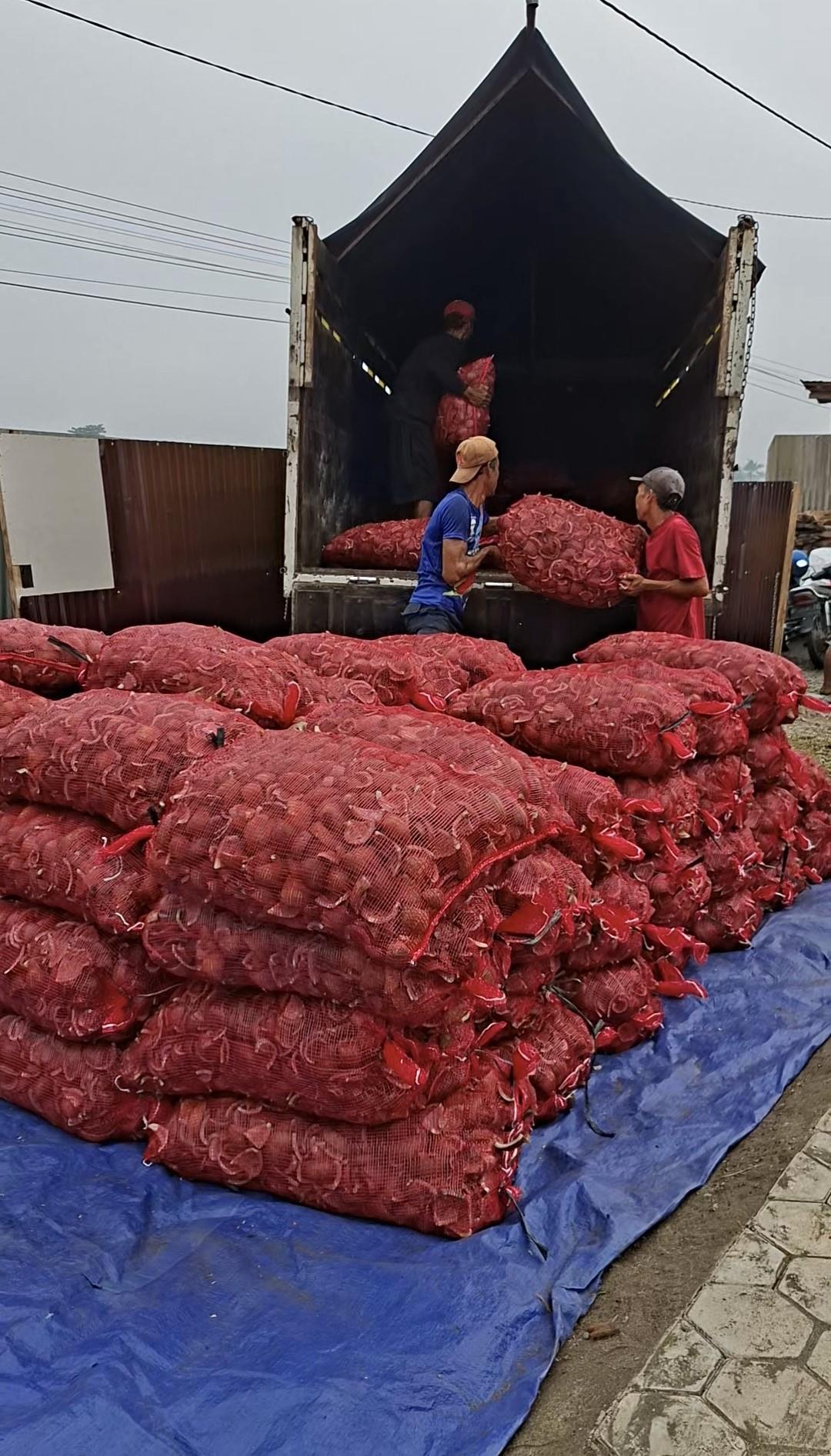 Karung tempurung kelapa yang siap dikirim