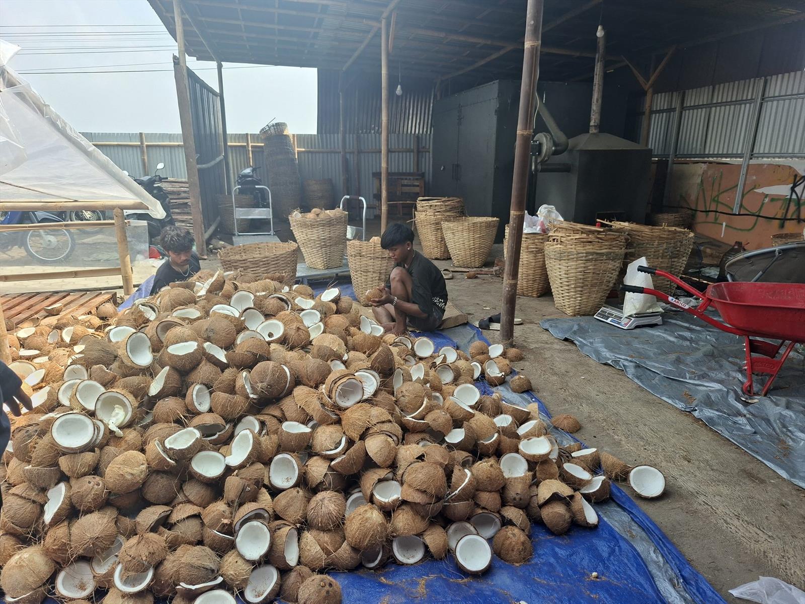 Pekerja memilah tempurung kelapa di area produksi