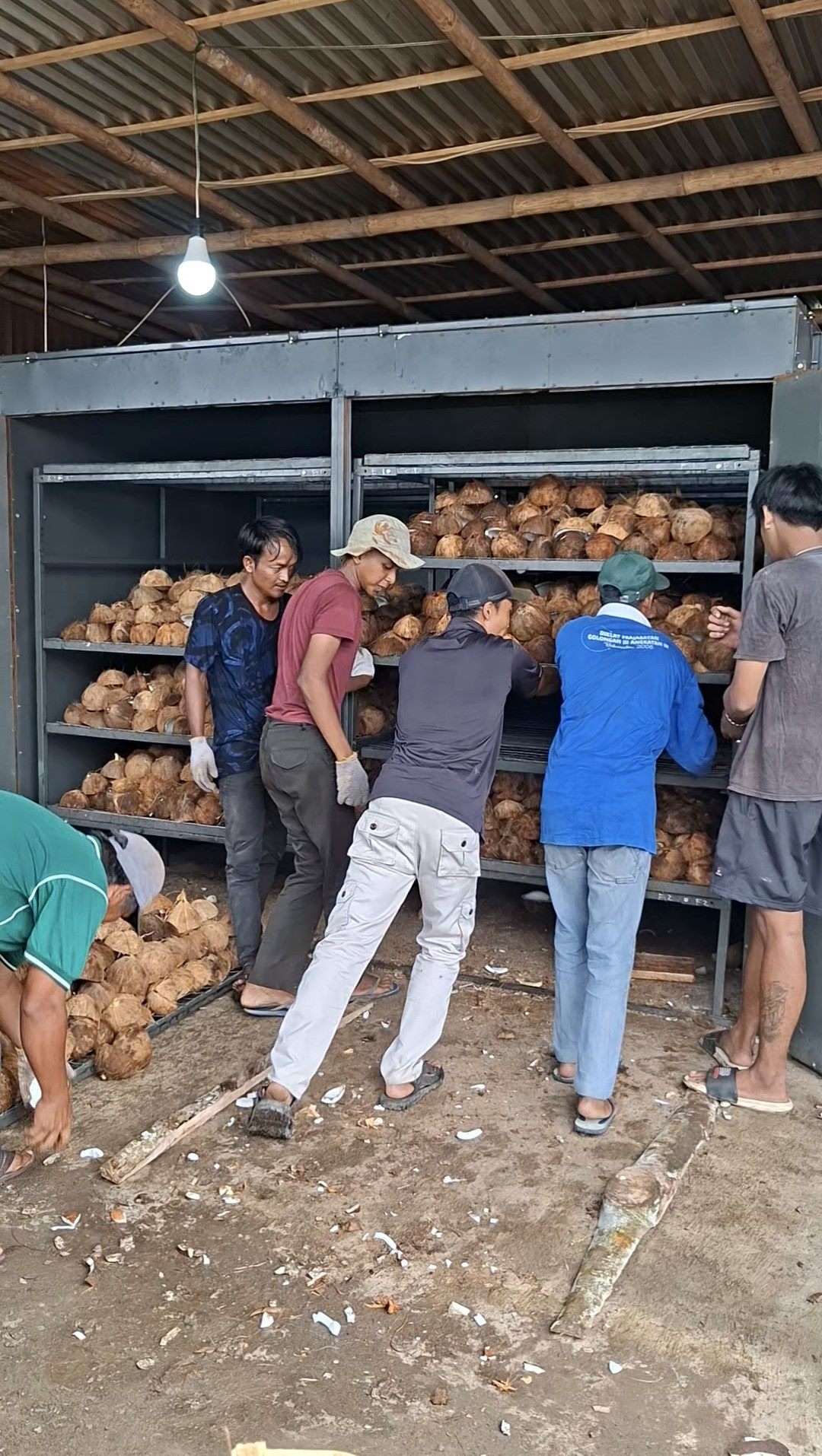 Pekerja memuat kelapa ke rak oven pengering
