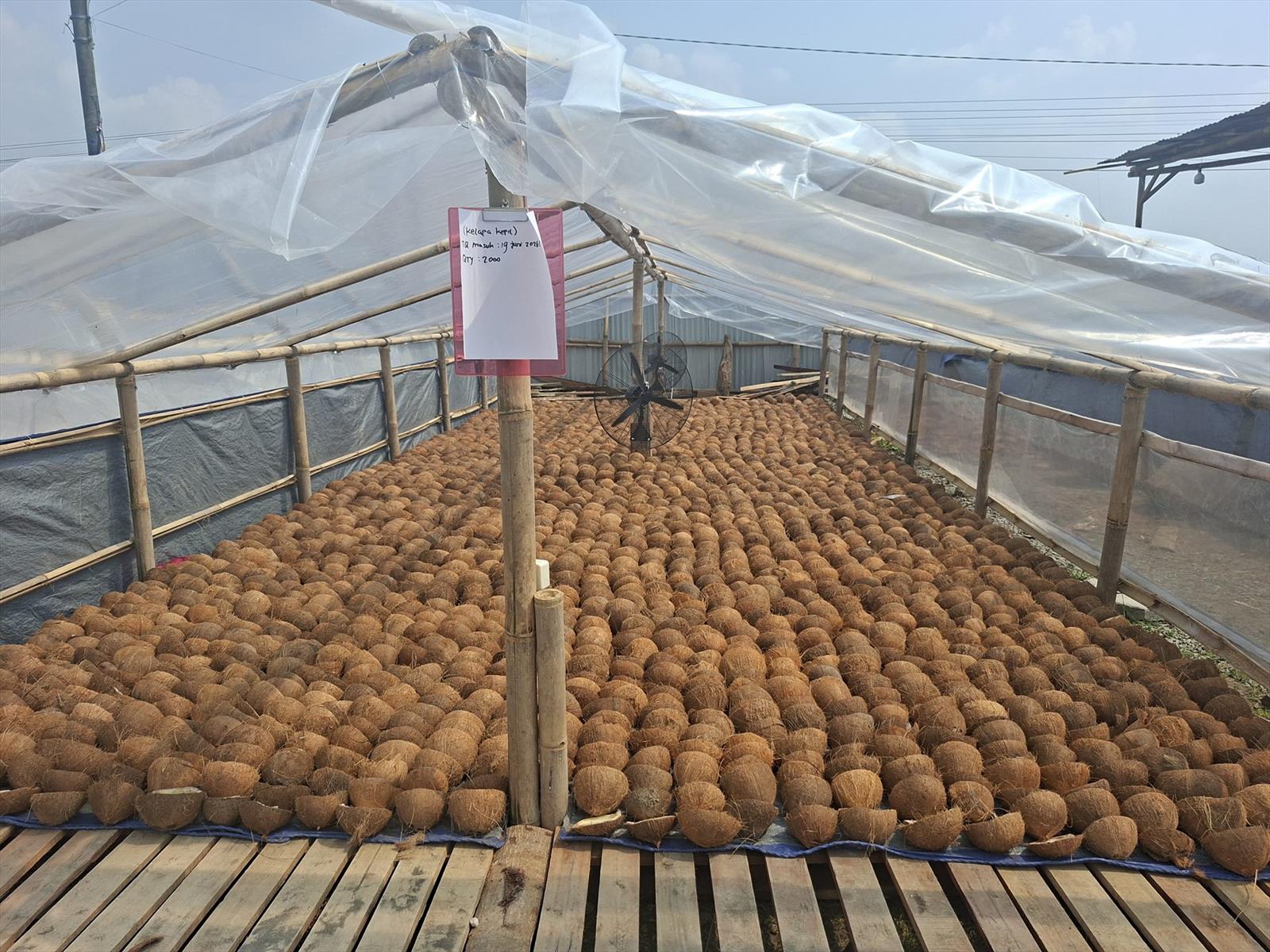 Tempurung kelapa ditata dalam rumah pengeringan
