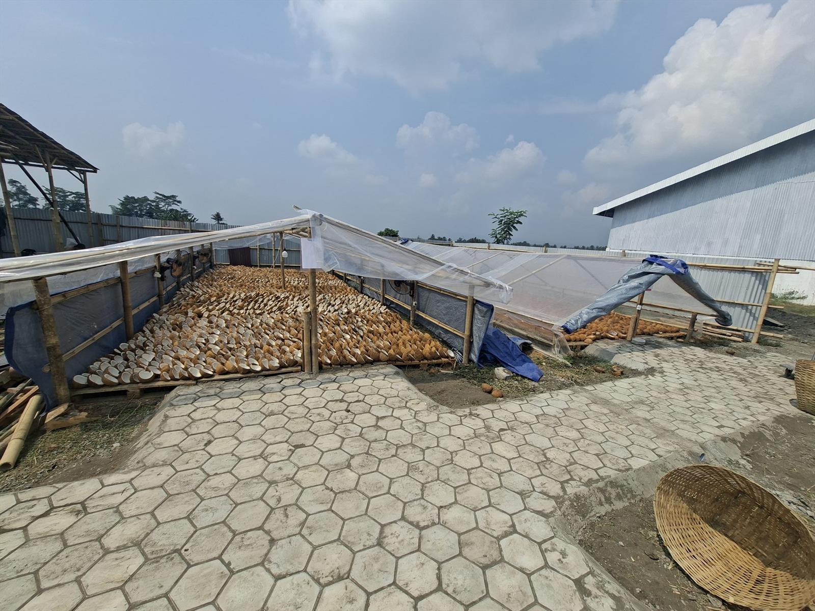 Kopra putih ditata untuk proses penjemuran