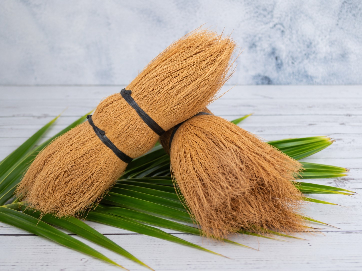 Cocobristle — Serat Sabut Kelapa Berkah Mandiri