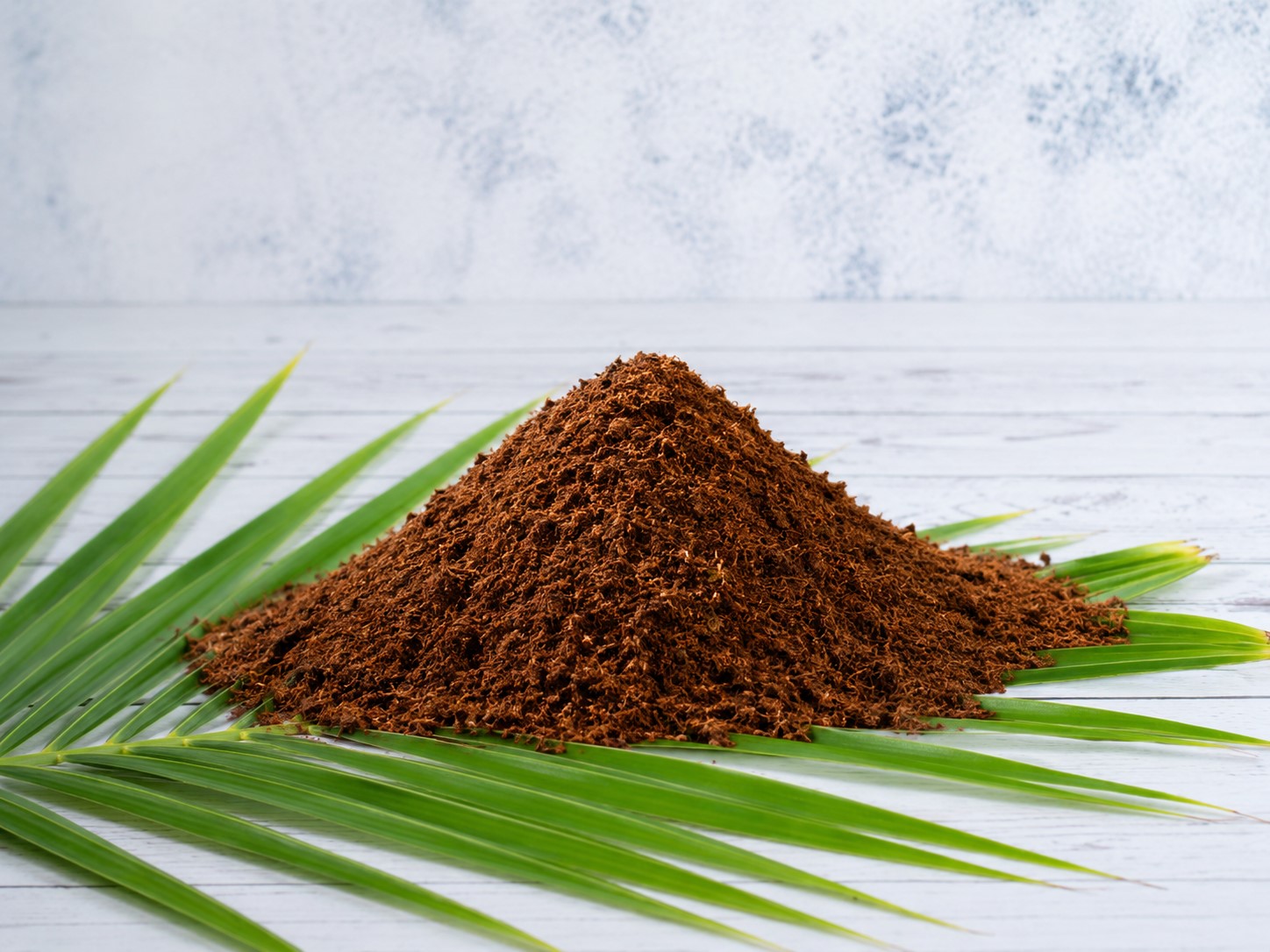 Cocopeat Media Tanam Berkah Mandiri