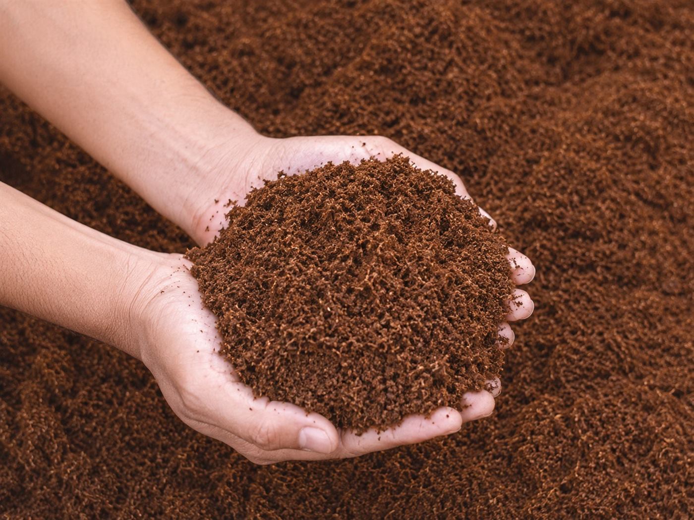 Cocopeat